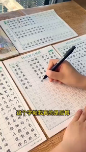 华文练习练字帖 小学生好词好句好段字帖 楷书練字帖 写作练字两不误 小学作文 作文字帖描红本 华文练习 Practice calligraphy