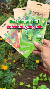 INFARM - Benih Bibit Sayur Edible Rumahan Lengkap Kangkung Sawi Selada Pokcoy Caisim Brokoli Seledri Kubis Kol Daun Bawang