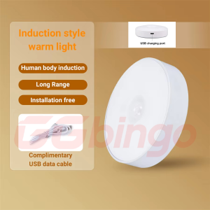 TYPE-C LED Smart Human Body Sensor Night Light Emergency Automatic Charging Wireless Magnetic Suction for Cabinet