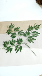 DAUN WILLOW LUSINAN CABANG 3 LEAF ARTIFICIAL DECOR RUANGAN OUTDOOR RUMAH LUAR DEKORASI PERNIKAHAN DAUN RUSCUS ZAITUN BUATAN TANGAN TANAMAN BUNGA HIJAU PLASTIK MURAH BERKUALITAS IMPORT