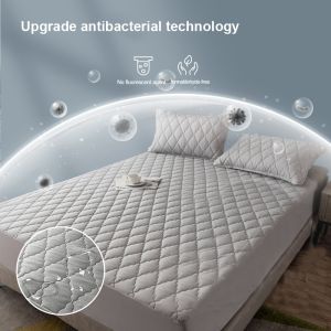 CTH Waterproof Mattress Protector Premium Quality Fitted Bedsheet Single/Queen/King 床保护套