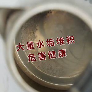 ผงขจัดคราบตะกรัน ในกาต้มน้ำร้อน 250g - น้ำยาขจัดคราบชา ผงขจัดคราบกรดมะนาว Detergent