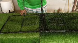 เพนียด 2 ทาง หมานๆ ดักไก่ป่า วัฒนธรรมดา แบบ นกกวัก นกอีลูมา นกกระปูด นกเขาใหญ่ ซึ่งเป็น ซึ่งเป็นวัตถุประสงค์ของเชื้อมูล การผลิตแบบเทคนิค ที่น่าสนใจเงินเข้าไปใช้งานได้