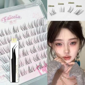 Faiccia | Cold Beauty Fox Tail Look Natural False Eyelashes