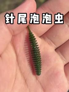 YOUDU | Mồi Giả Dạng Sâu Bọt Đuôi Kim