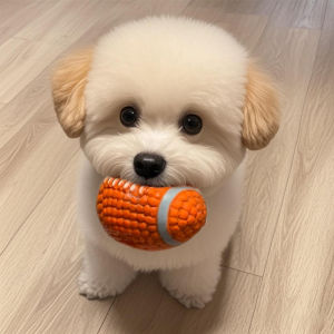 Petone dOrage | Sound Durable Chew Dog Toy Ball