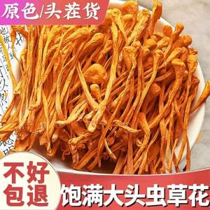 Fresh Sulfur-free Cordyceps Flowers Edible Mushrooms