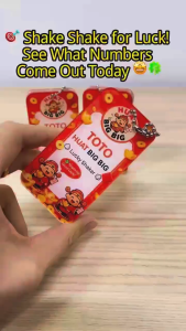 TOTO Shaker Keychain (1-49 Full Set) | Lucky Spin Huat Big Keychain 🍀 SG Ready Stock