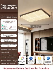 DGY | Minimalist Luxury Living Room Ceiling Light