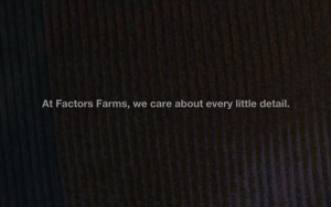 Natural Factors -  Melatonin 3 mg Stress-Relax® (Perppermint) (90 Tablets)