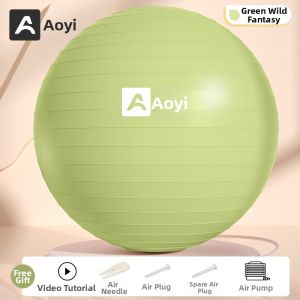 AOYI | Thickened Anti-Burst Yoga Ball Postnatal Recovery