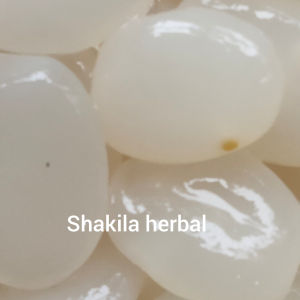 jual kulang Kaling segar super hasil pilihan 1kg cara memasak baca depkrinya yaka