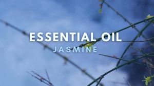 Rumah Wangi ARA - Essential Oil JASMINE Minyak Esensial Aromatherapy