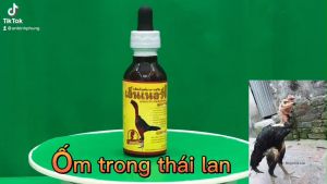 VITAMIN ỐM TRONG VÀNG ốm trong khô chân teo lườn nhợt nhạt phân xanh phân trắng phục hồi gà suy sau đá hũ 60ml