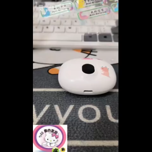 Capybara 3D Crystal Name Stickers - waterproof ready stock