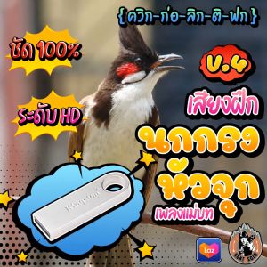 เสียงฝึกนกกรงหัวจุก V.4 ////ควิก-ก่อ-ลิก-ติก-ฟก//// เพลงแม่บท ยาวสะใจ10ชม. ใส่แฟลชไดร์ฟ เสียงใสชัดเป๊ะ ไม่มีโฆษณาแทรก พร้อมส่ง! เก็บปลายทาง