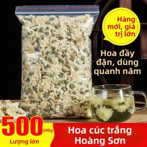 Hoa Cúc Tống Phẩm Hoàng Sơn Cấp Cao 500g