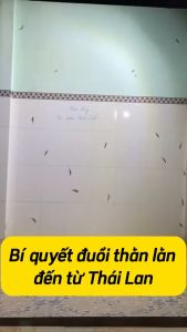 Chai Xịt Đuổi Ngăn Thằn Lăn Thạch Sùng Tắc Kè Chiết Xuất Hương Thảo Mộc Dung Tích 500ml