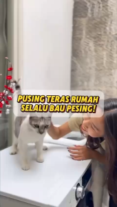 Bacuya Aromatic Spray Cairan Pengusir Kucing