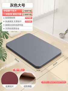 Diatom Mud Absorbent Pad Household Foot Mat Diatomite Toilet Bathroom Entrance Non-Slip Quick-Drying Bathroom Seaweed Floor Mat