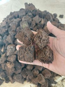 Akar Pakis Chip Dadu Cacah Potong Kecil 1kg Media Tanam Untuk Anggrek Aglonema