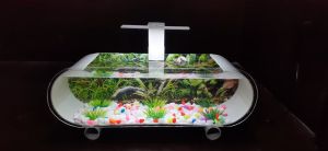 Aquarium Mini Full Set / Aquarium Akrilik / Aquarium Ikan Cupang / Aquarium Ikan Hias /Aquarium Kaca