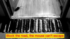If it sticks it wont run away*Big Size Sticky mouse board1.2meters1piece=8sticky mouse boards Can be cut for use Sticky Rat Trap Strong Sticky Mouse Catcher Rat Snake Bugs Mice Trap Catcher Board Mouse Sticky Board Mouse Trap For Big Rat padikit sa daga