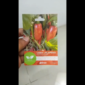 Benih Biji Bibit Cabai Mexican Jalapeno Mix Garden Seed - 10 Benih