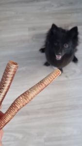 Goose trachea หลอดลมห่าน ขัดฟันหมาเล็ก umm ขนมหมา 50g