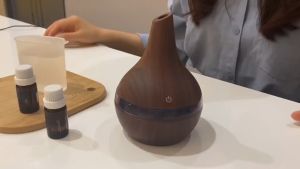 Humidifier Air Purifier Diffuser Scent Oil Large Capacity 300ML Humidifier