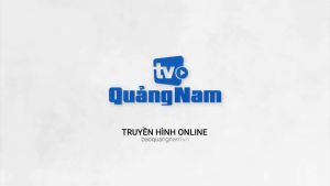 Bánh Dừa Nướng Bảo Linh - Đặc Sản Truyền Thống Quảng Nam - Thơm Ngon Giòn Béo Ít Ngọt - Gói 180g