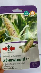 ศรแดง ข้าวโพด สวีทแฟนตาซี  จำนวน 80 เมล็ด/ซอง หมดอายุ 01/01/2570  ลอตใหม่ งอกดี มี 3 สี ขาว เหลือง ม่วง รสชาติเหนียว นุ่ม อร่อย ขายง่าย