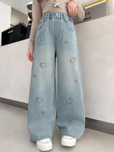 AINAO | Sparkly Diamond Denim Pants