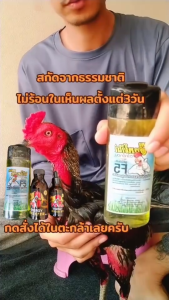 F5 แชมภูอาบน้ำไก่ ช่วยให้ขนไก่เงางาม ป้องกันไรยุงและเชื้อรา กลินตะไคร้หอม