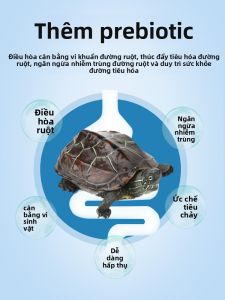 NAICHONG | Nutrient Chinese Pond Turtle Food Floating Pellets