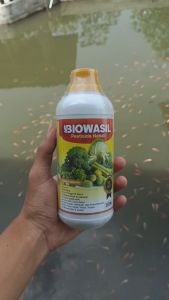 TERMURAH Obat penggerek batang padi terampuh - BIOWASIL 500ML - Pestisida ulat penggerek batanag padi paling manjur - Insektisida organik cair pengendali hama padi sawah paling top REKOMENDED