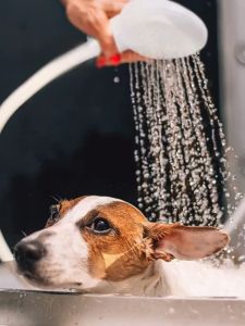 Multi-Function Handheld Shower Head with Faucet Adapter No-Electricity Pet Bathing & Shampoo Washing Accessory for Bathroom Kitchen Outdoor Toilet Use