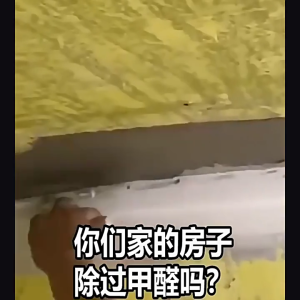 【SG In Stock】Formaldehyde Remover Spray Air Freshener Care Anti-bacterial Formaldehyde Clean Absorbent Air Purification