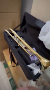kèn trumpet giá rẻ cho người mới