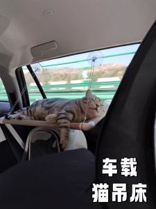 Car-Mounted Cat Hammock Window Glass Suction Cup Hanging Nest Solarium Balcony Universal Four Seasons Cat Bed Pet Supplies