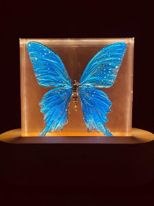 Butterfly Specimen Night Lamp Decoration Blue Flash Butterfly Desktop Ornament Gift for Boyfriend Girlfriend Birthday Graduation