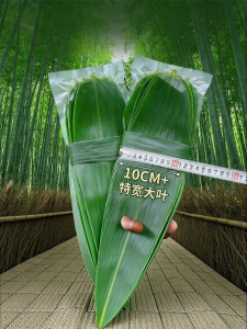 WENXIANGZAN | Fresh Large Bamboo Leaves for Zongzi Commercial Use