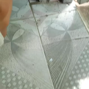 Thuốc Diệt Kiến Thuốc Diệt Gián Sinh Học ANBIO Hiệu Quả