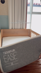 EASE Mattress