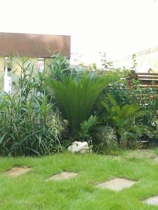 Heavy Duty PVC Garden Hose: A Comprehensive Guide