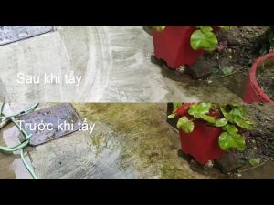 Túi 500gr Bột Tẩy Rong Rêu Thông Dụng - Tẩy Rêu Sạch 100%