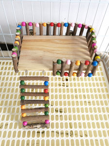 ชั้นวางกระโดดสำหรับสัตว์เลี้ยง ชั้นวางข้ามสำหรับกระต่าย ชั้นวางข้ามสำหรับลิงคิว ชั้นวางข้ามสำหรับหนูนา ชั้นวางข้ามสำหรับหมู