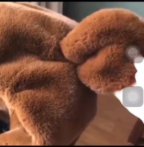 Áo Khoác LÔNG CỪU lông tai thỏ nam nữ dài tay Áo khoác nót nỉ dày mịn form rộng kiểu dáng thời trang Hàn Quốc