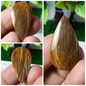 fosil kayu real picture natural top quality