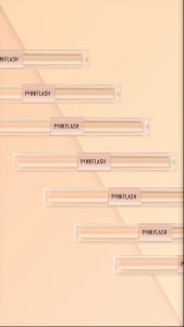 Pinkflash Duo Cover Concealer PF F18 | Double Fix 2 in 1 Dual Shade Concealer